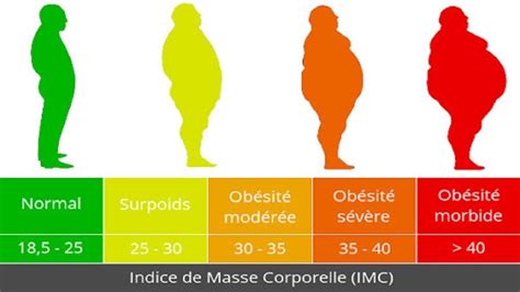 personne obese|Principaux repères sur lobésité et le surpoids